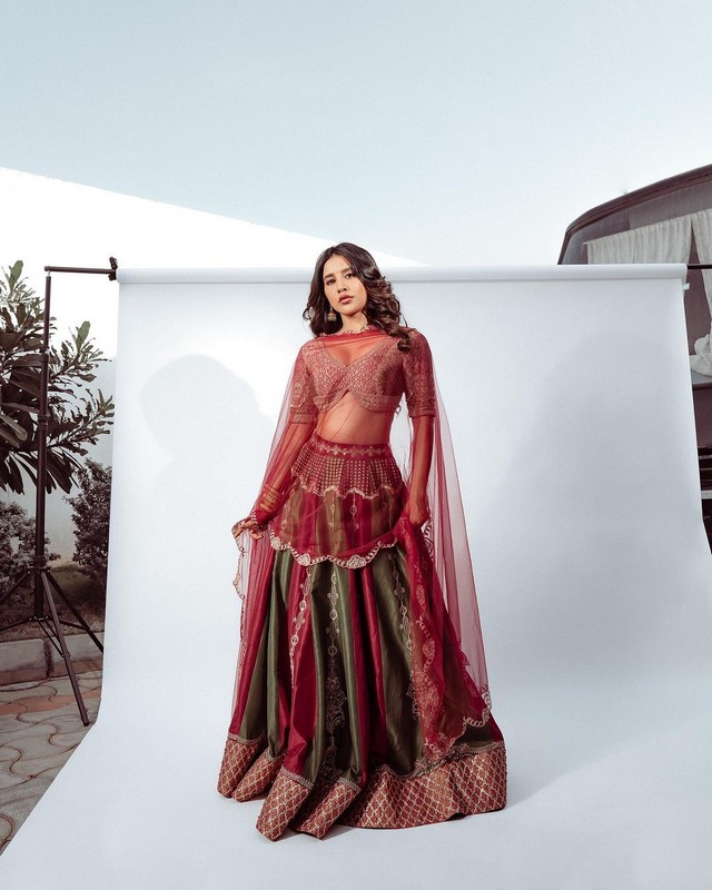 Nabha Natesh 8