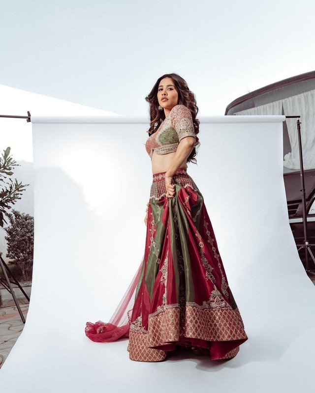 Nabha Natesh 9