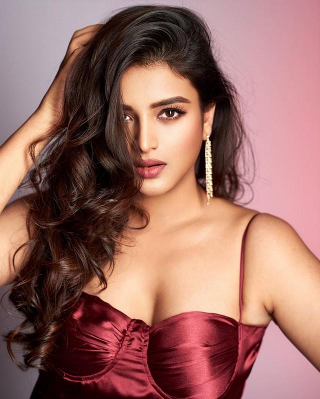 Nidhhi Agerwal 10