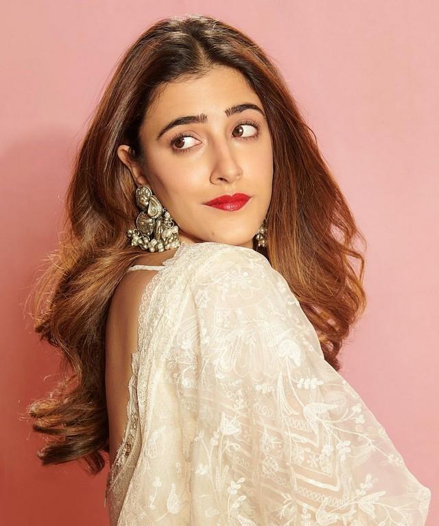 Nupur Sanon 5
