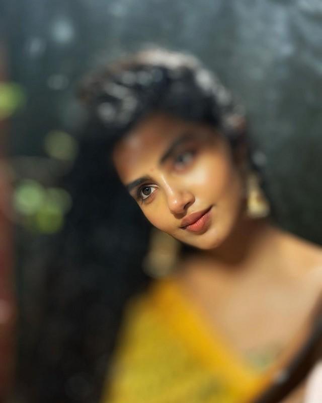 Anupama Parameswaran 2
