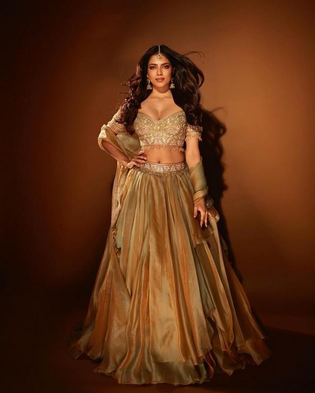 Malavika Mohanan 2