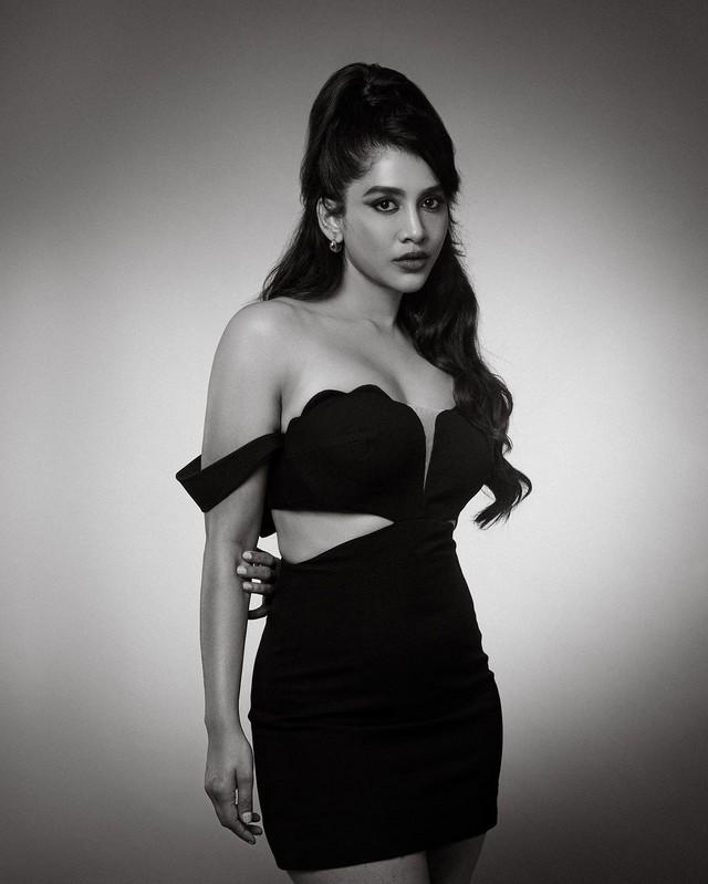 Nabha Natesh 2