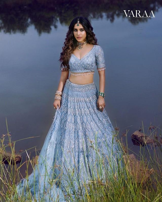 Nabha Natesh 7
