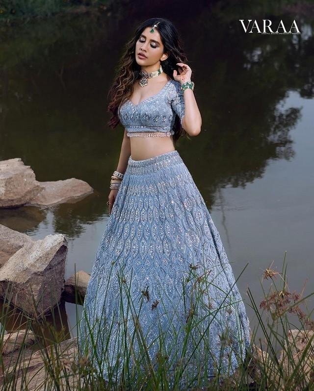 Nabha Natesh 8