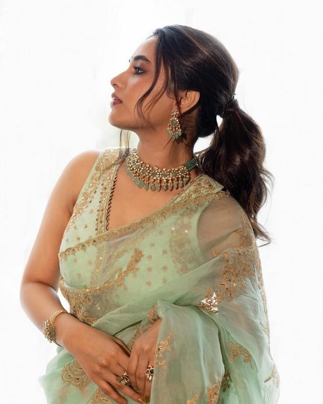 Priyanka Mohan 6