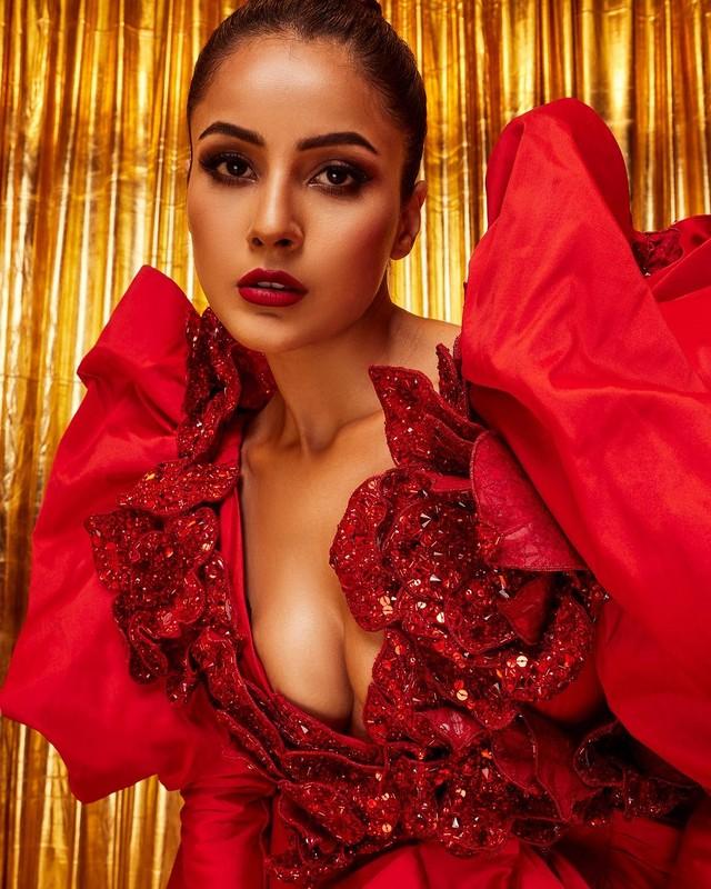 Shehnaaz Gill 3