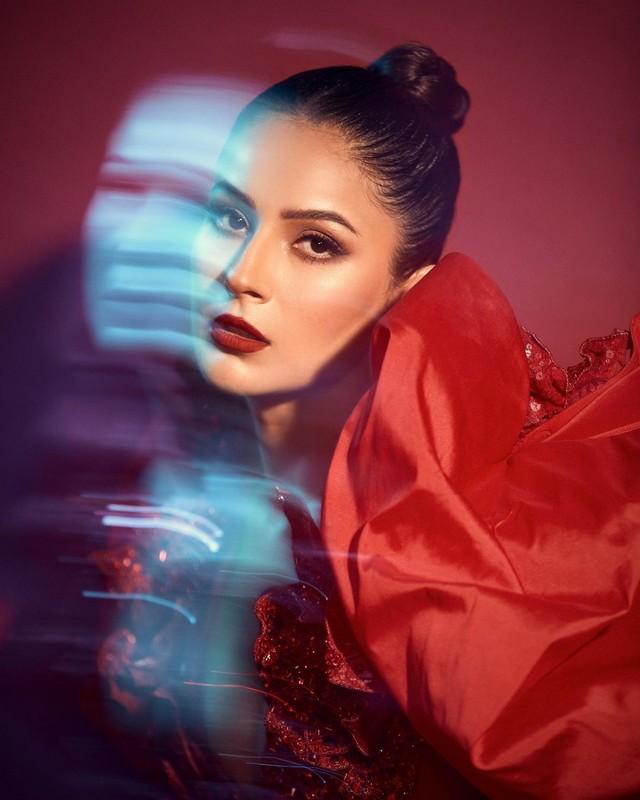 Shehnaaz Gill 9