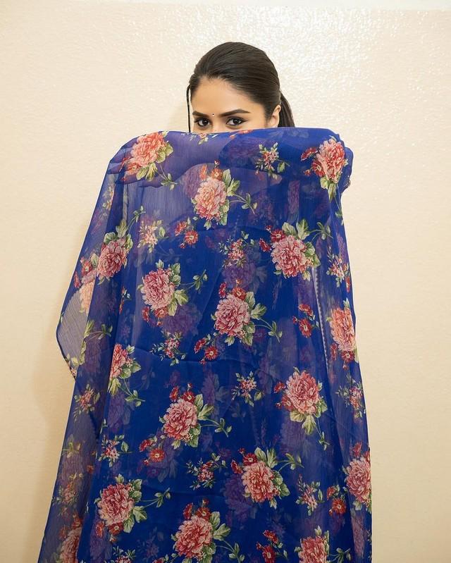 Sreemukhi 3