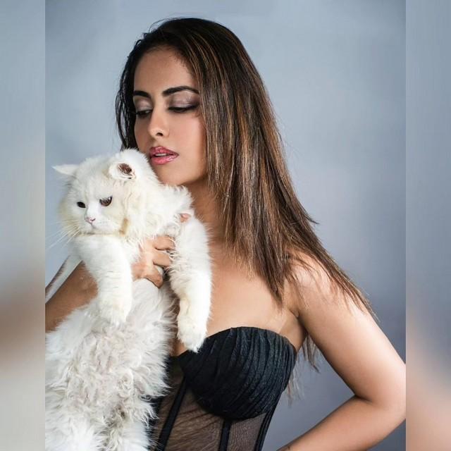 Avika Gor 14
