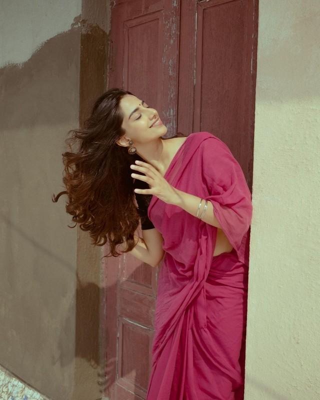 Meenaakshi Chaudhary 8