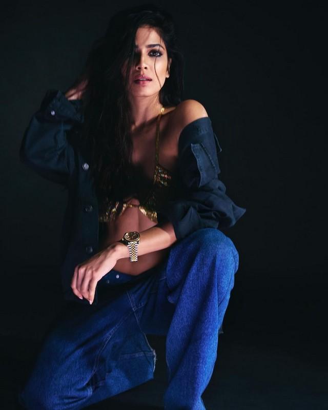 Malavika Mohanan 5