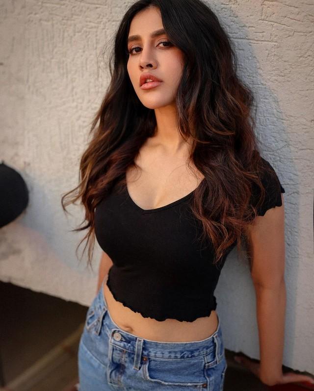 Nabha Natesh 1