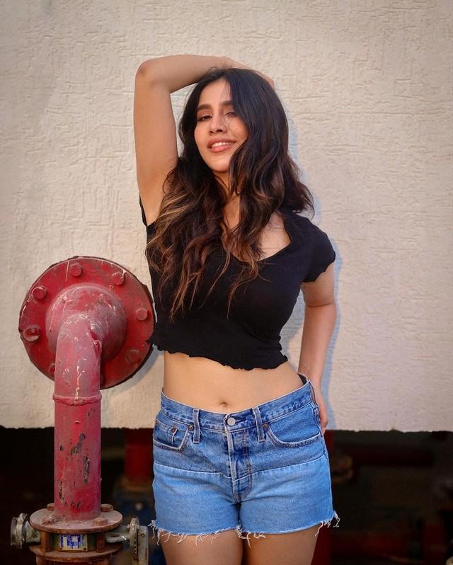 Nabha Natesh 3