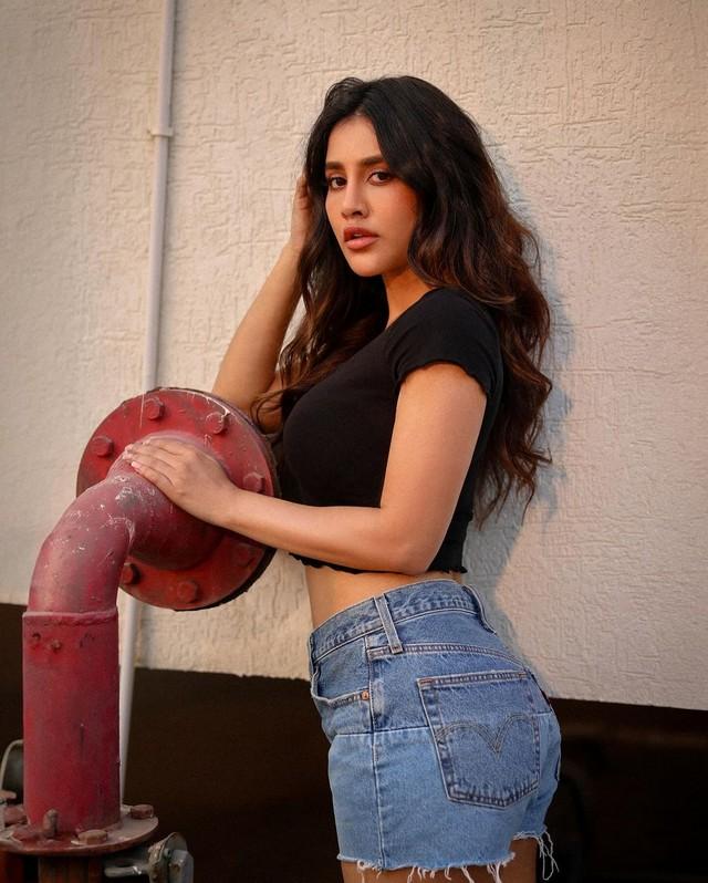 Nabha Natesh 7