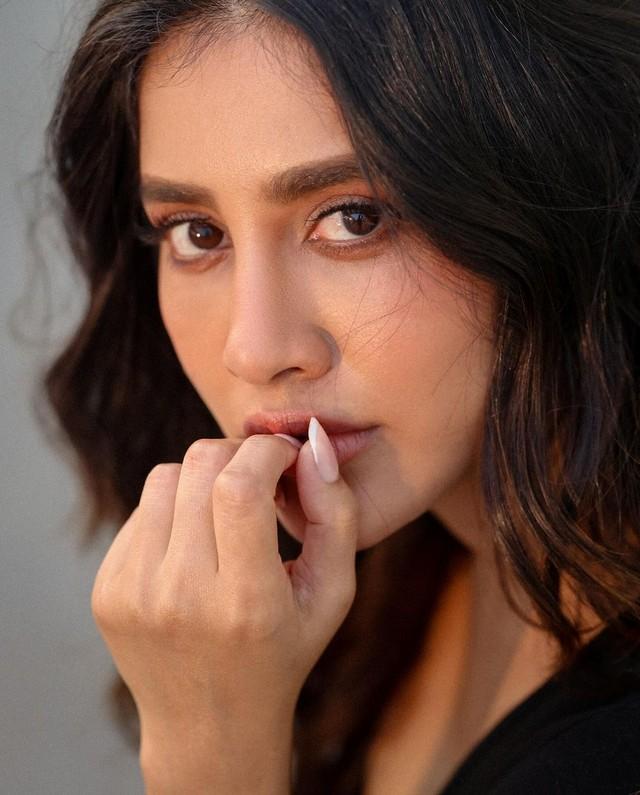 Nabha Natesh 8
