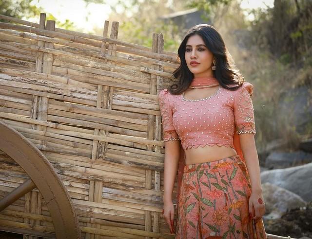 Nabha Natesh 1