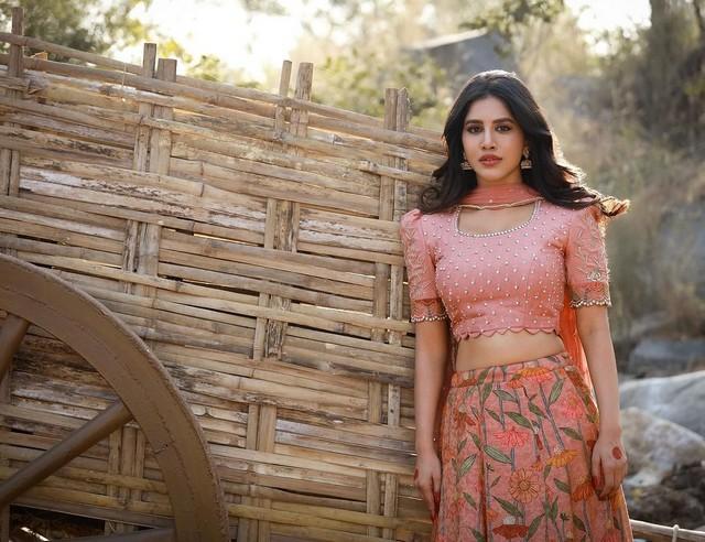 Nabha Natesh 3