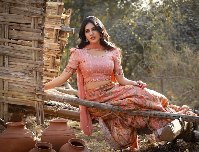 Nabha Natesh 4
