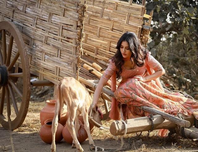Nabha Natesh 5