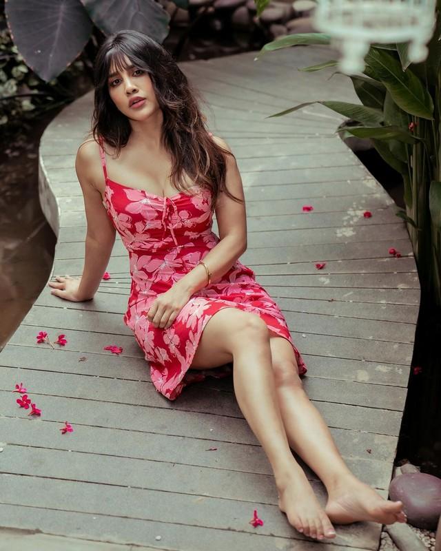 Nabha Natesh 10