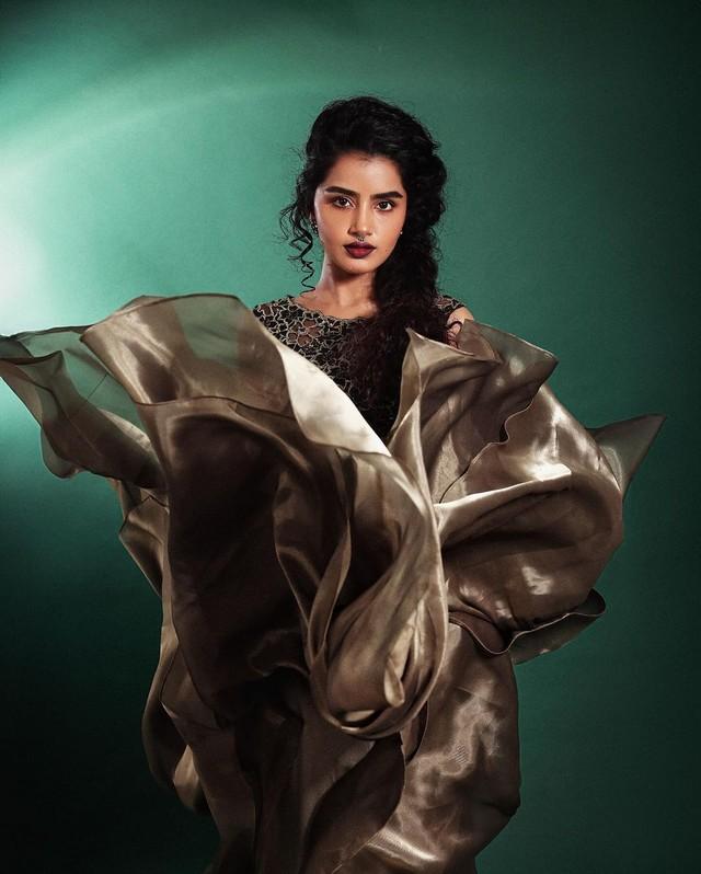 Anupama Parameswaran 14