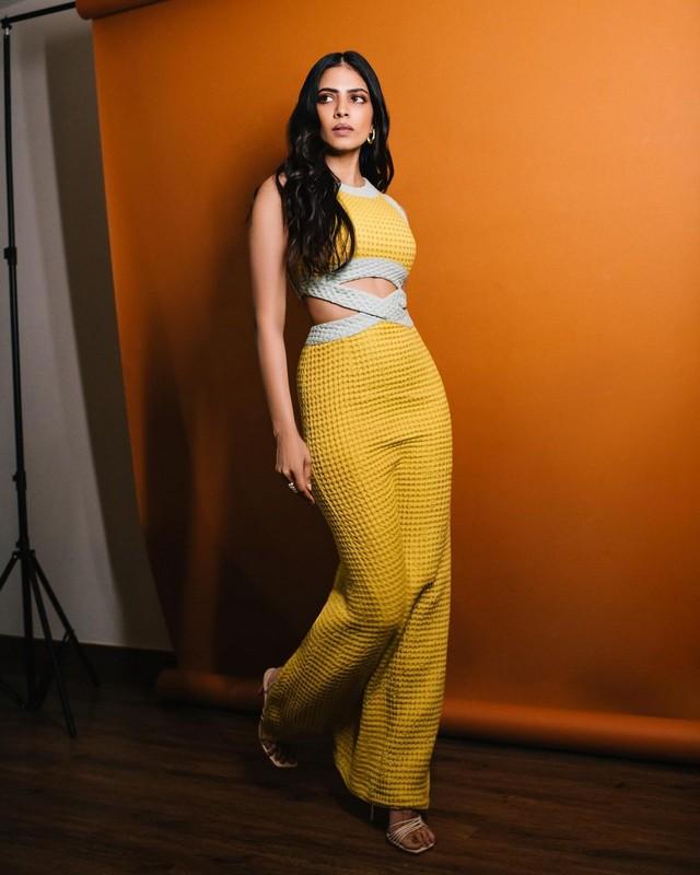 Malavika Mohanan 15