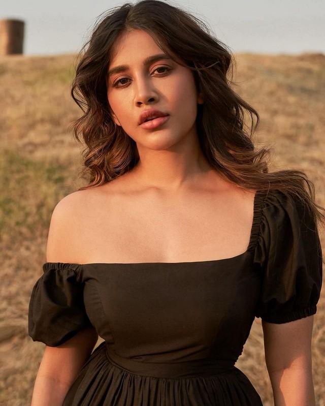 Nabha Natesh 6