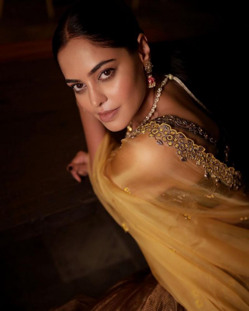 Bindu Madhavi 6