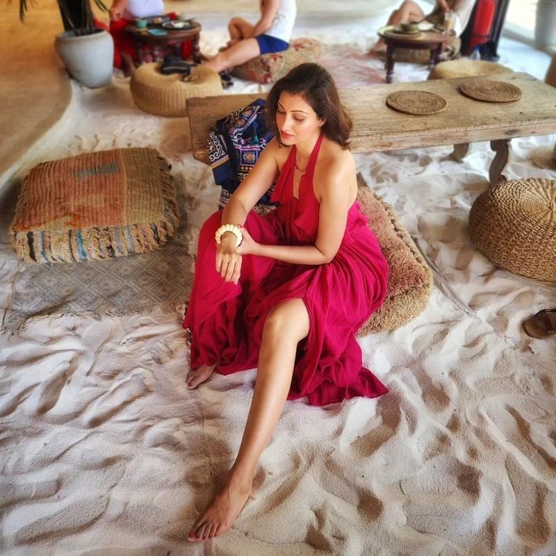 Hamsa Nandini 2