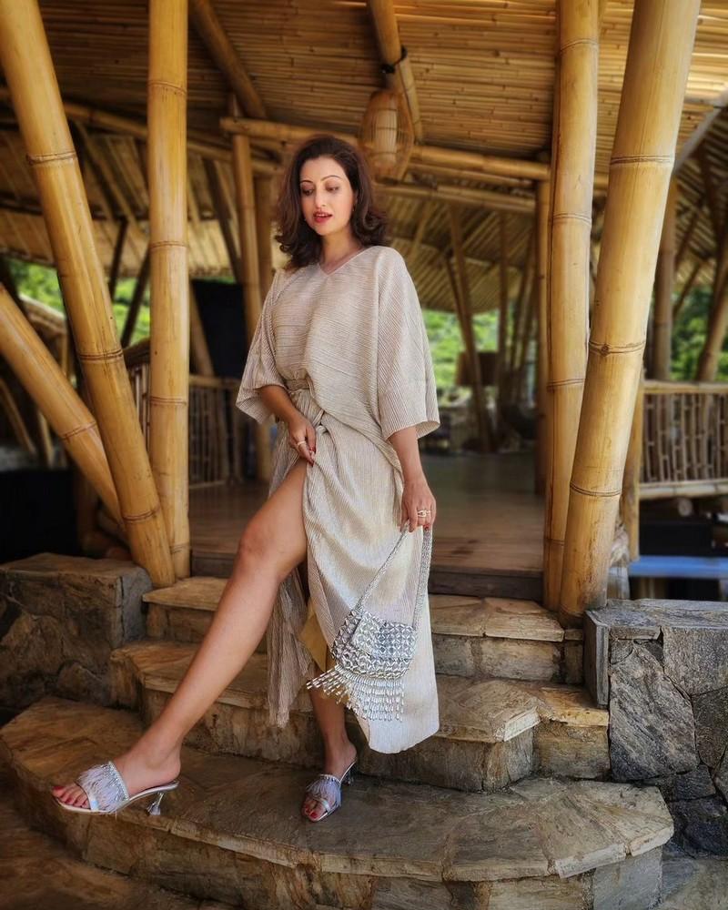 Hamsa Nandini 7
