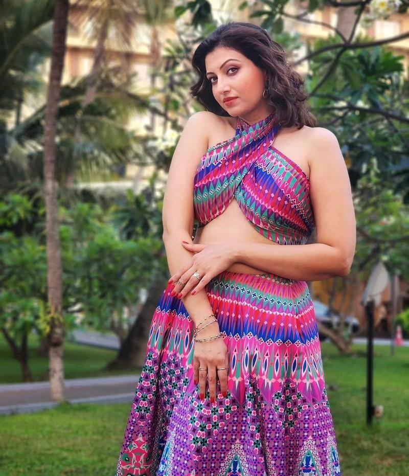 Hamsa Nandini 1