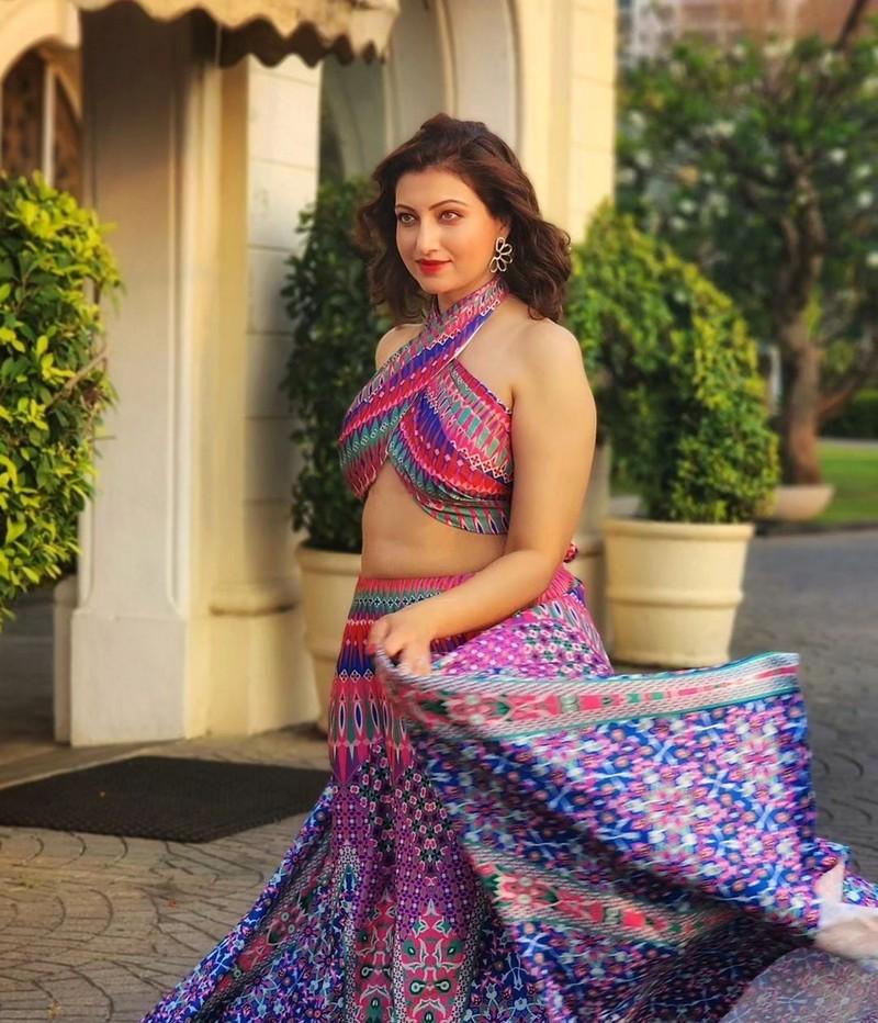 Hamsa Nandini 3