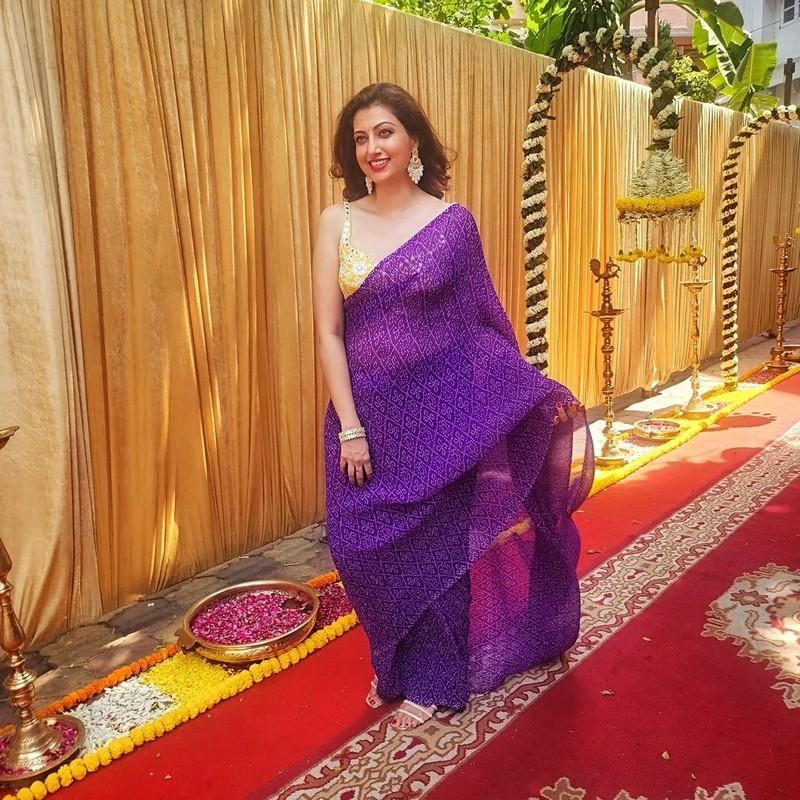 Hamsa Nandini 9