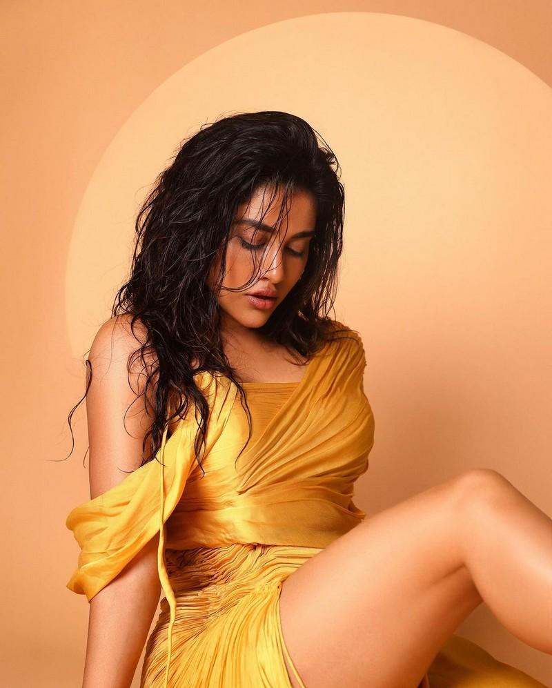 Nabha Natesh 10
