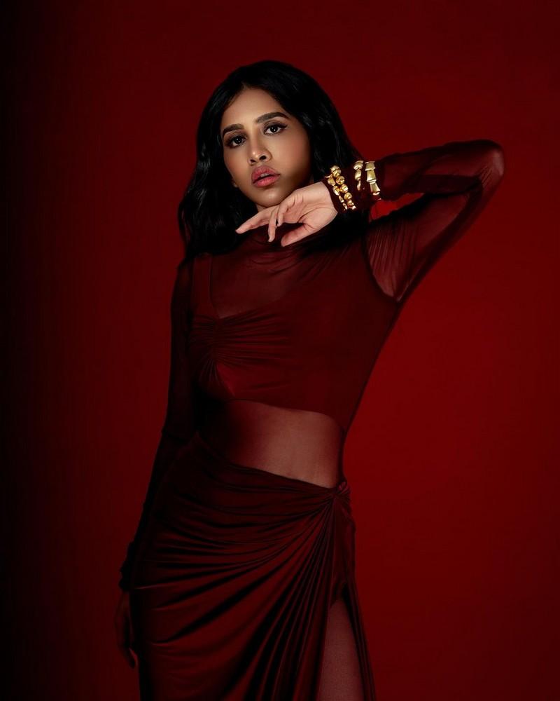 Nabha Natesh 2