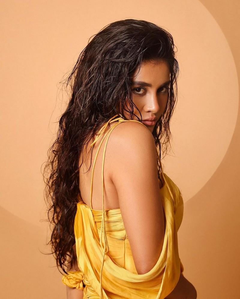 Nabha Natesh 7