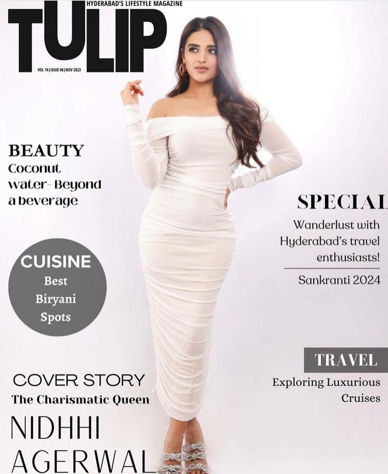 Nidhhi Agerwal 5