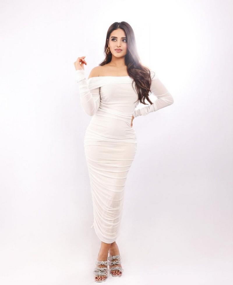 Nidhhi Agerwal 6