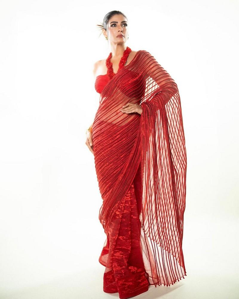 Raveena Tandon 5