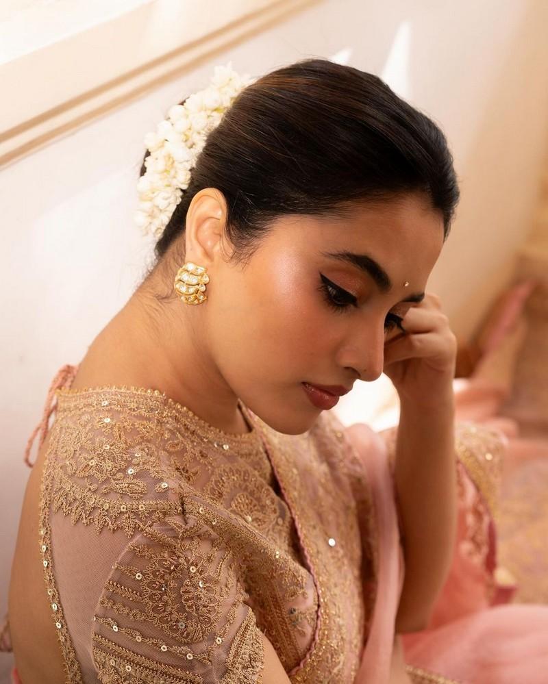Priyanka Mohan 4