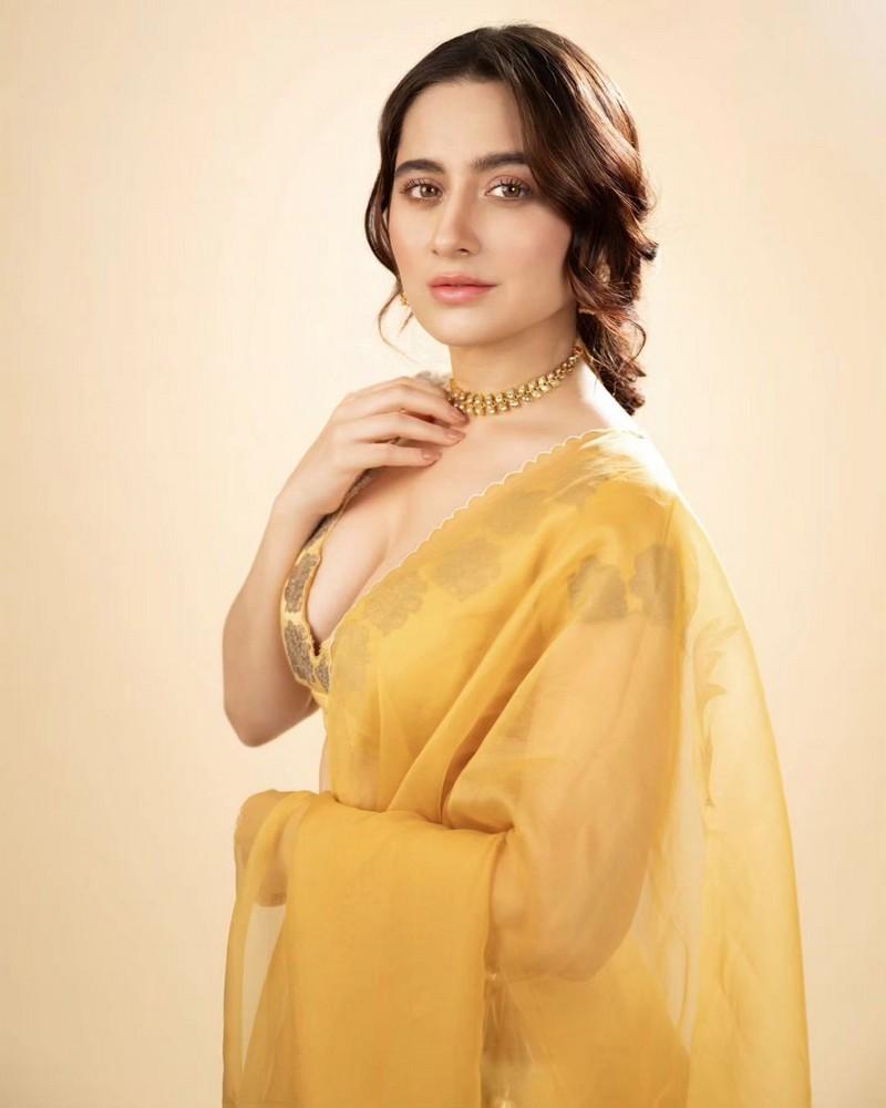 Sanjeeda Shaikh 4