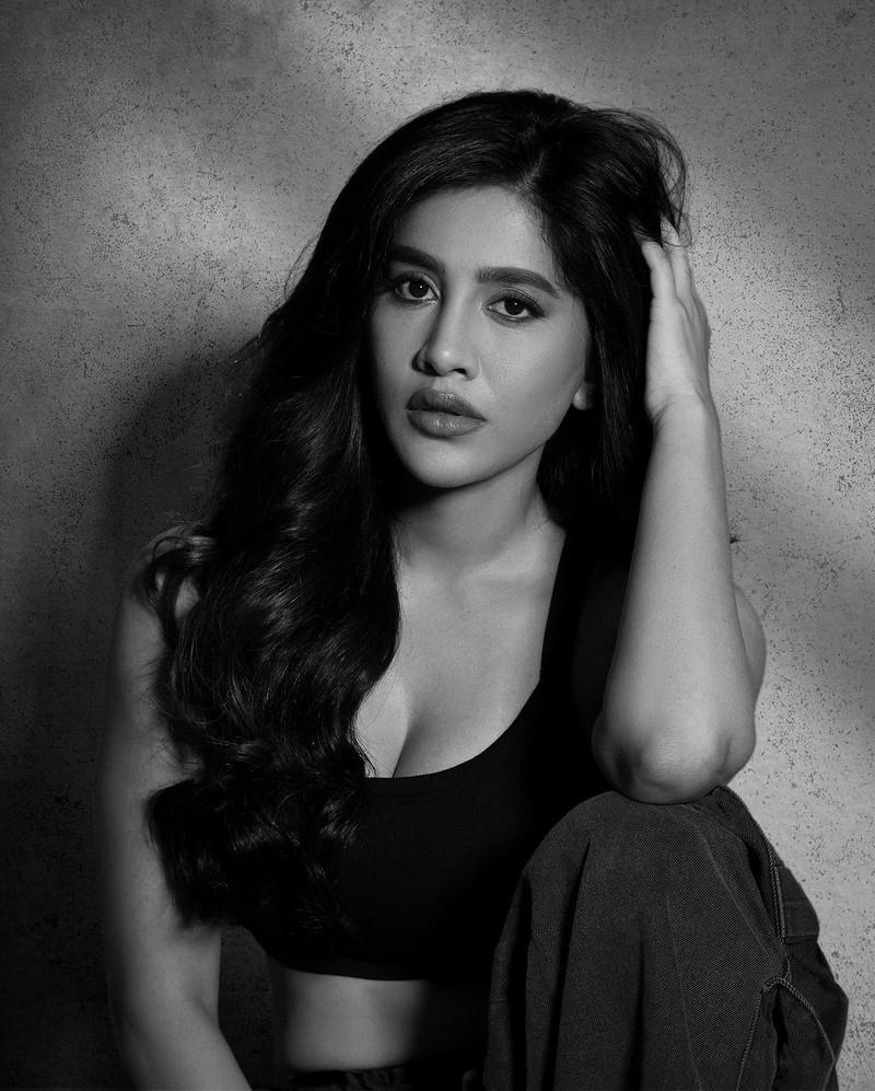 Nabha Natesh 6