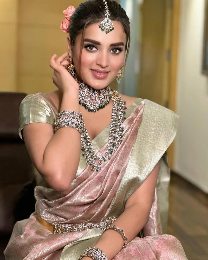 Nidhhi Agerwal 8