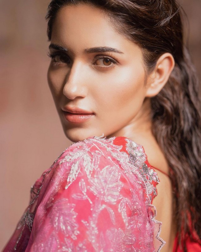 Ruhani Sharma Looks Awesome in Saree