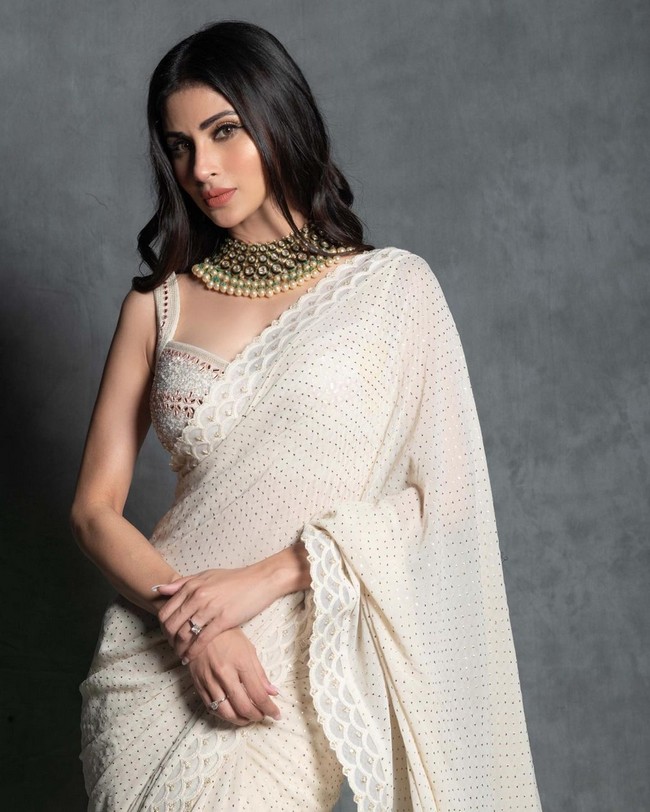 Mouni Roy Fabulous Looks in Saree