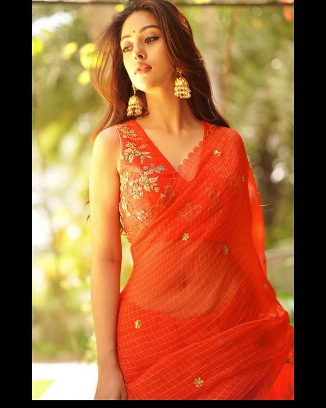 Anu Emmanuel Latest Photos