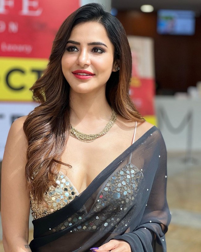 Ashu Reddy Adorable Looks in Black Saree