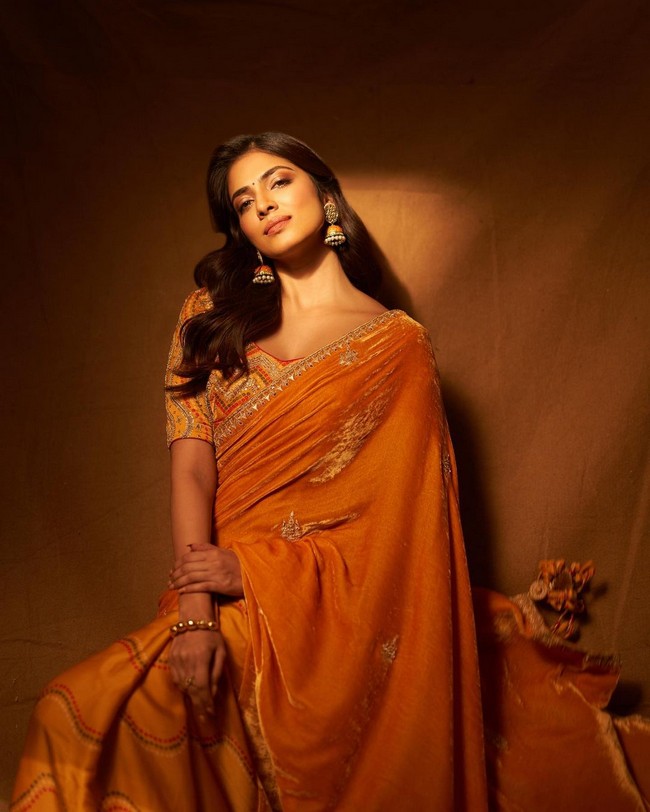 Malavika Mohanan Latest Pics in Saree