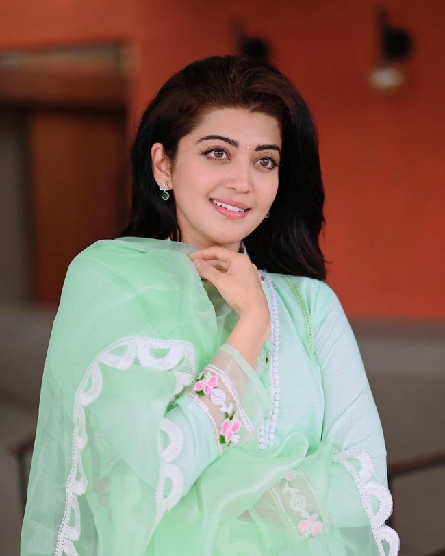 Pranita Subhash Stunnig Cliks in Dress